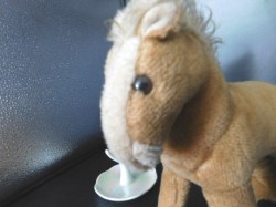 steiff horse face b